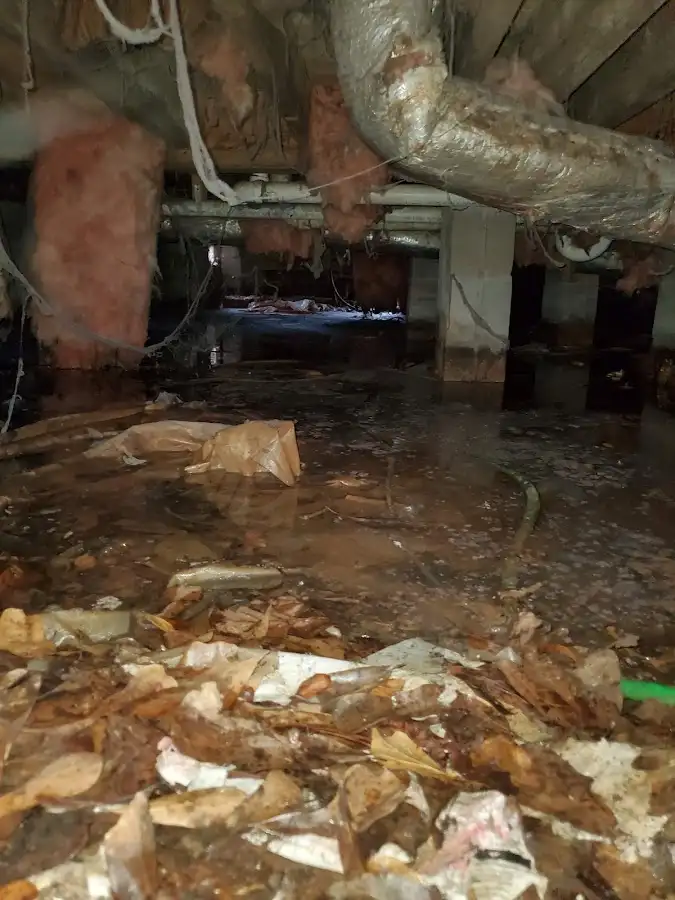 Crawl space flood assessment for Leak Detection & Repair in Mukwonago