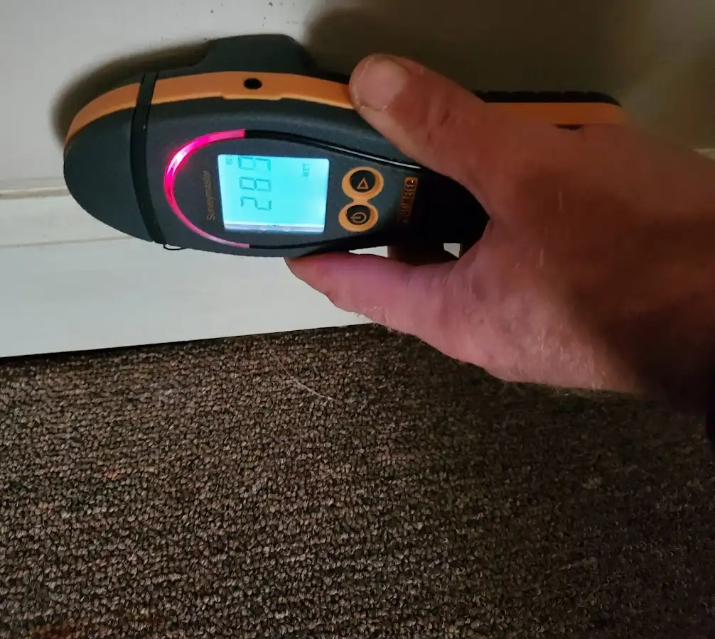 Moisture detection at baseboard during Sewage Cleanup & Sanitation in Mukwonago